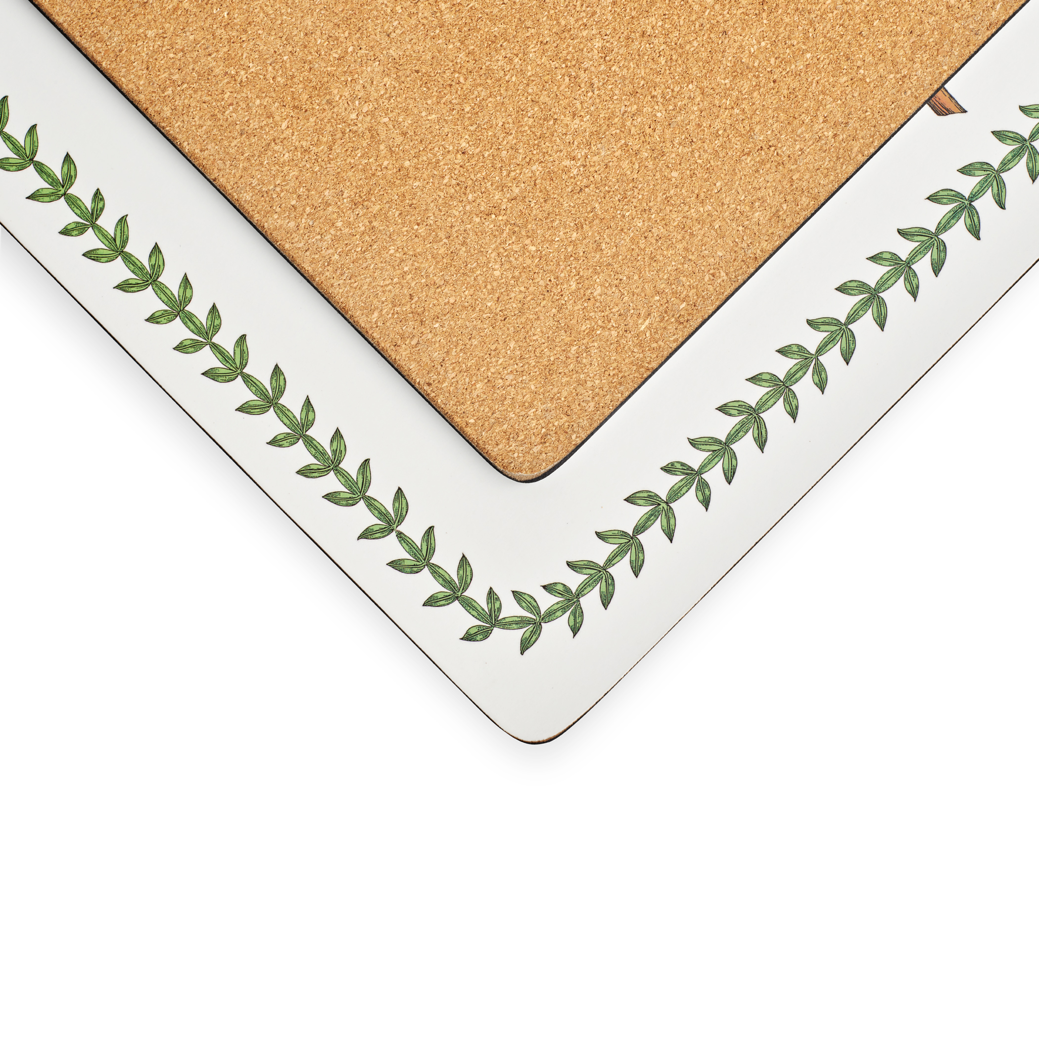 Botanic Garden Set of 4 Large Placemats image number null